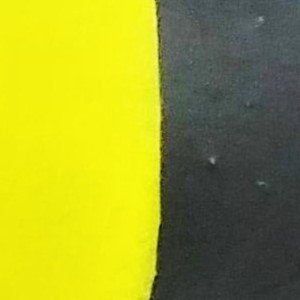 Amarelo-Preto