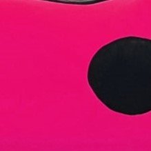 F11 Rosa pinta Preta