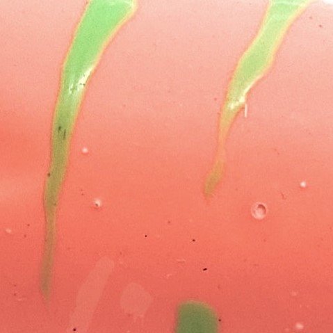 Salmão listra Limão