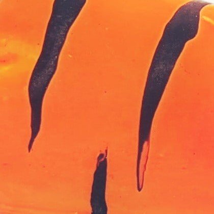 Laranja listra Preta