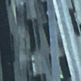 Branca pinta Preta a10