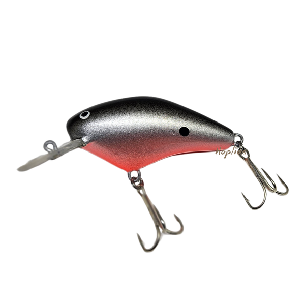 isca para dourado sagitra lz80 meia agua 3