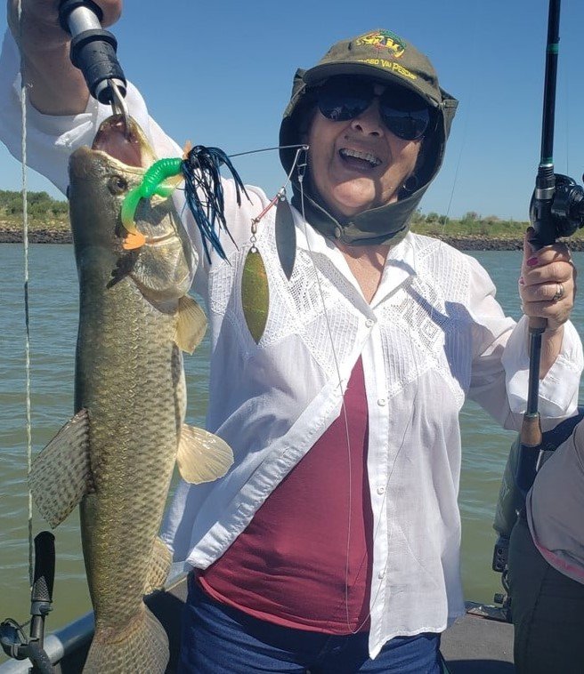 spinner bait deconto isca artificial metalica