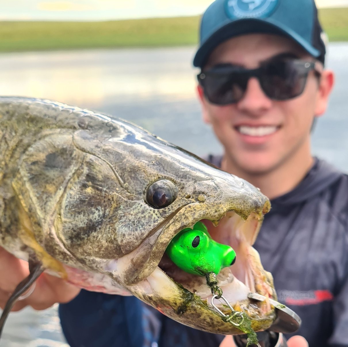 sapinho turbo iscas frog sapo trara 1