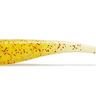 shad minnow red cha1