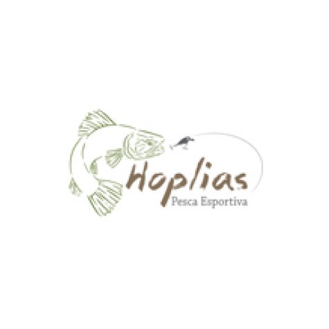marca 10