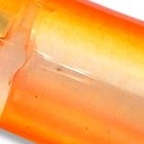 7 dorso LR barriga LR