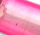 8 dorso RS barriga RS