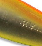 10 dorso LR barriga Am-limão