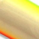 21 BR dorso VD barriga LR