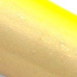 41 branca dorso AM-limão