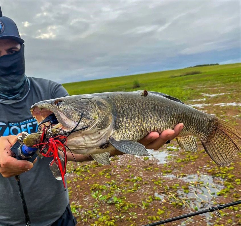 01 chatterbait joker off7 isca artificial 4 0