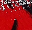 Vermelha Risco Preto 02